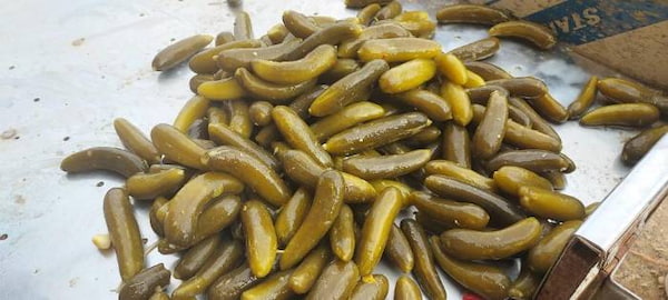 تصویر 3 از قیمت خیارشور حلب ویژه + خرید باور نکردنی